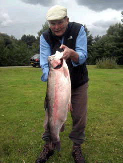 packington 18lb rainbow 1.gif